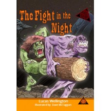 Fight in the Night